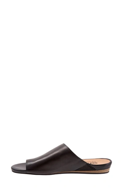 Softwalk Corsica Slide Sandal In Black Leather