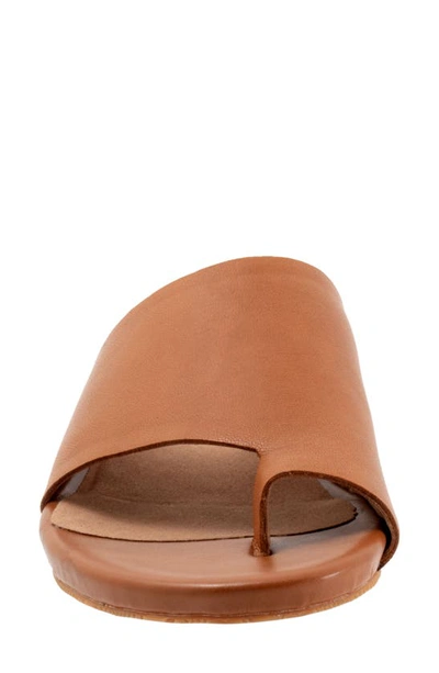 Softwalk Corsica Slide Sandal In Luggage