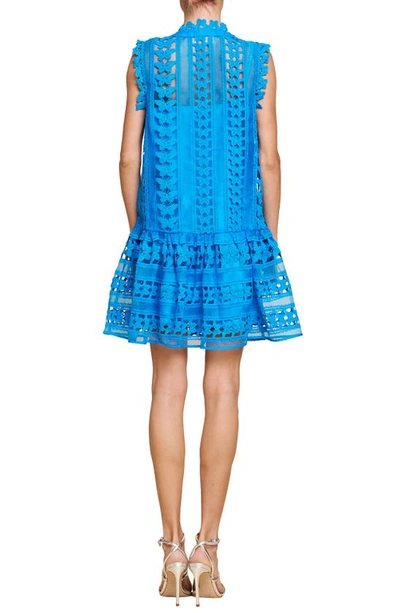 Shop Ciebon Cara Butterfly Lace Shift Dress In Blue