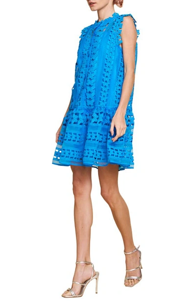 Shop Ciebon Cara Butterfly Lace Shift Dress In Blue