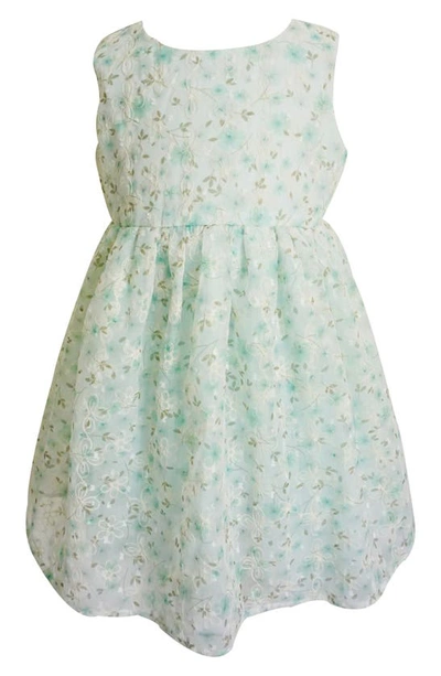 Shop Popatu Kids' Floral Embroidered Tulle Overlay Dress In Mint