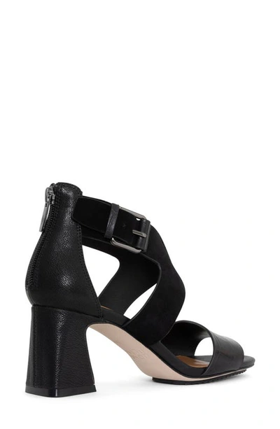 Donald Pliner Buckle Block Heel Sandal In Black-black