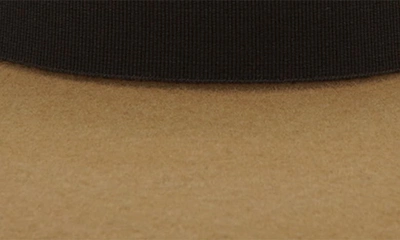 Modern Monarchie Brown Wool Felted Fedora In Brown