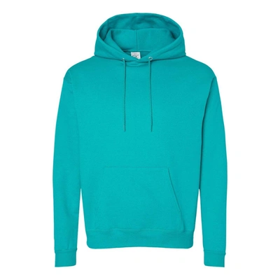 Shop Hanes Ecosmart Hooded Sweatshirt In Multi