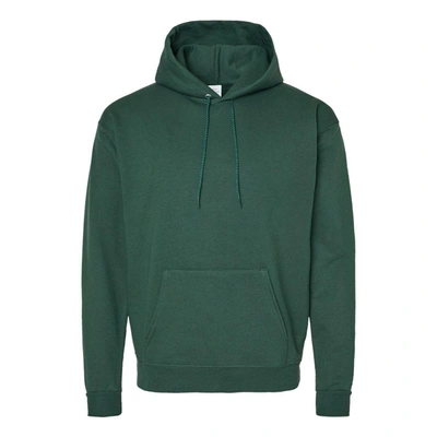 Hanes Ecosmart Hooded Sweatshirt In Multi