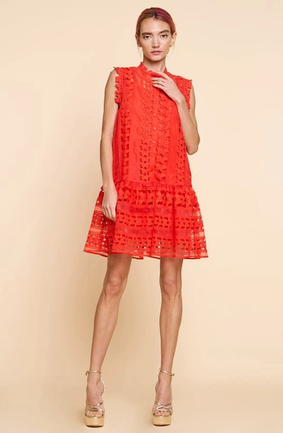 Shop Ciebon Cara Butterfly Lace Shift Dress In Coral