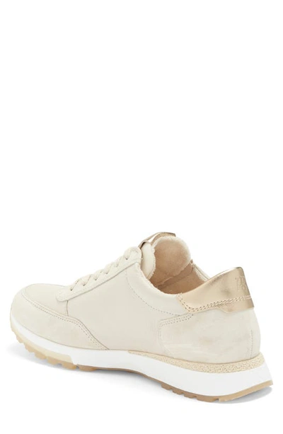 Shop Paul Green Tate Sneaker In Biscuit Combo