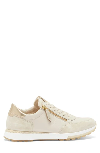 Shop Paul Green Tate Sneaker In Biscuit Combo