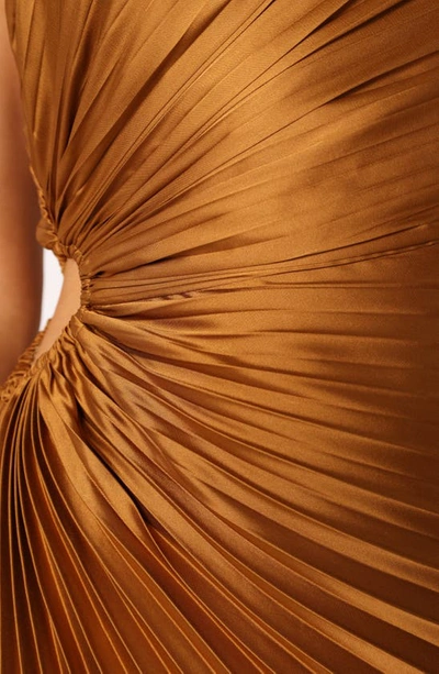 Petal And Pup Kleo One-shoulder Pleated Maxi Dress In Golden Ochre