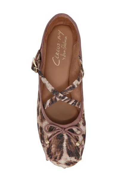 Circus Ny By Sam Edelman Zuri Ballet Flat In Beige Brown Multi