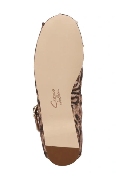Circus Ny By Sam Edelman Zuri Ballet Flat In Beige Brown Multi