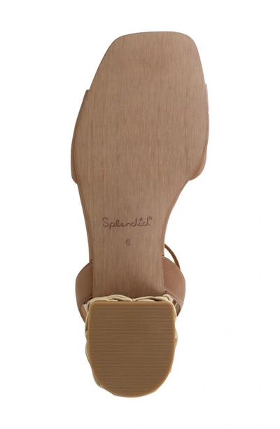 Shop Splendid Gina Ankle Strap Sandal In Macchiato