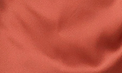 Petal And Pup Womens Luella Dress In Rust