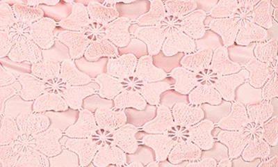 Petal And Pup Cartia Lace Miniskirt In Pink