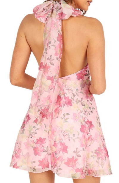 Petal And Pup Womens Gardenia Halter Mini Dress In Pink Floral