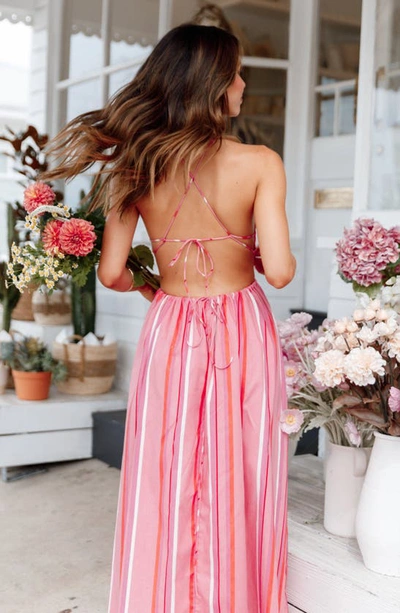 Petal And Pup Womens Madam Midi Dress In Pink Stripe