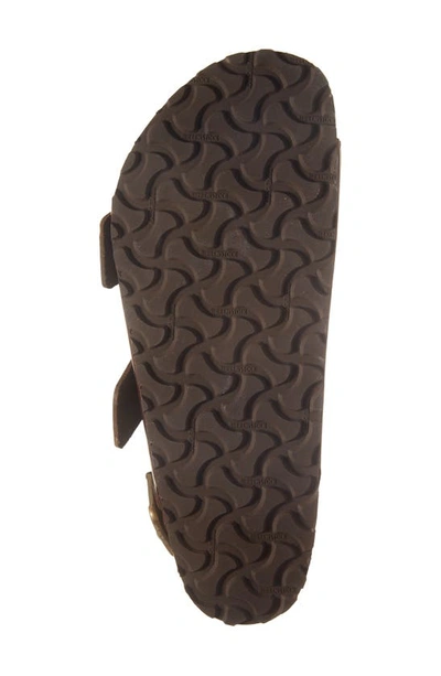 Shop Birkenstock Milano Bold Buckle Sandal In Roast