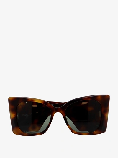 Shop Saint Laurent Sunglasses In Brown