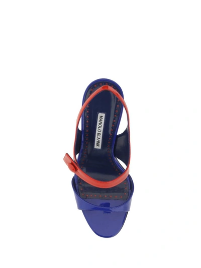 Shop Manolo Blahnik Sandals In Bblu/bred