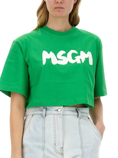 Shop Msgm T-shirt With Logo In Green