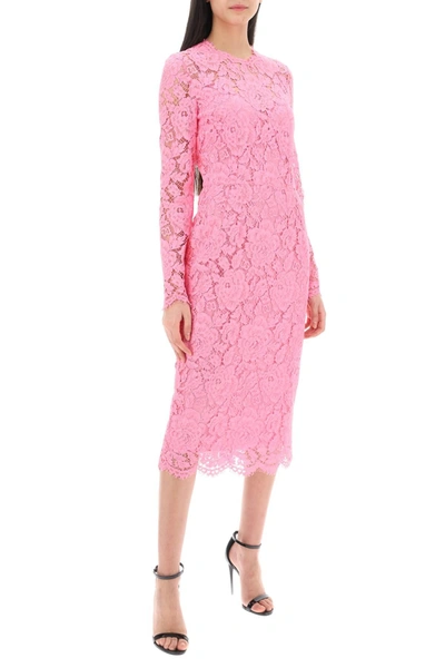 Shop Dolce & Gabbana Midi Dress In Floral Cordonnet Lace