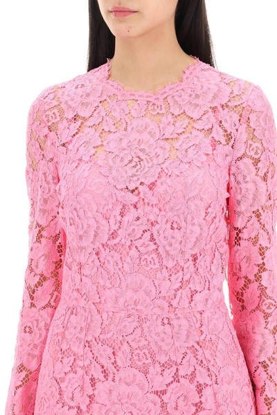 Shop Dolce & Gabbana Midi Dress In Floral Cordonnet Lace