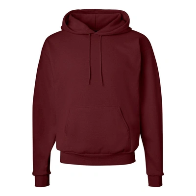 Shop Hanes Ecosmart Hooded Sweatshirt In Multi