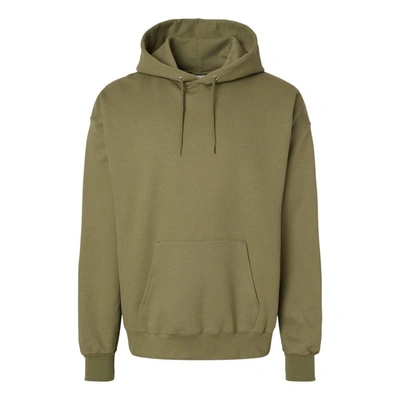 Hanes Ultimate Cotton Hooded Sweatshirt In Multi