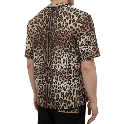 Shop Dolce & Gabbana Leopard Print T Shirt