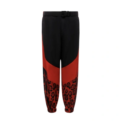 Shop Dolce & Gabbana Nylon Pants