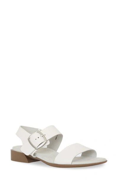 Shop Munro Cleo Sandal In White Stingray Leather