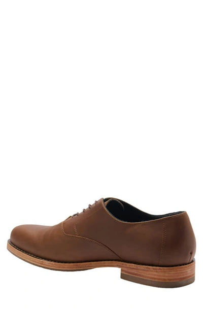 Shop Nisolo Everyday Oxford In Brown