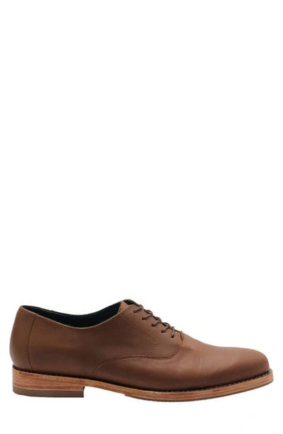 Shop Nisolo Everyday Oxford In Brown