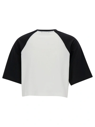 Shop Balmain T-shirts In White/black