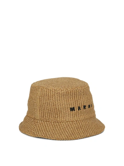Shop Marni Hats In Brown