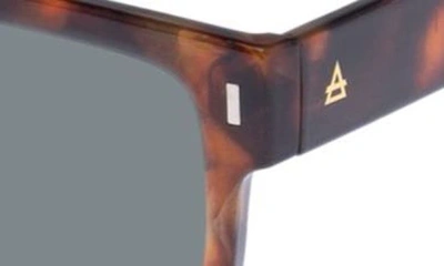 Aire Castor 51mm D-frame Sunglasses In Tort