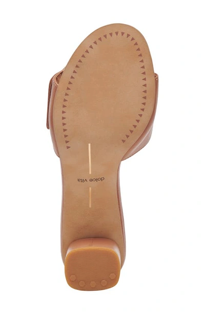 Shop Dolce Vita Laika Slide Sandal In Cider Leather