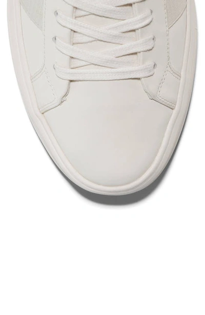 Shop Cole Haan Grand Crosscourt Premier Sneaker In Ivory/ White/ British Tan