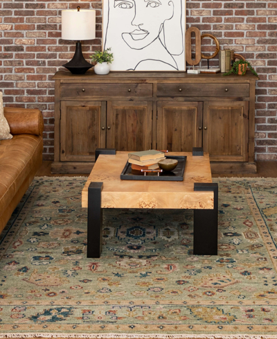 Karastan Balboa Alicante 6' X 9' Area Rug In Sage