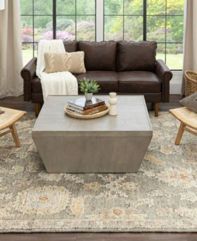 Karastan Coventry Kenilworth Area Rug In Gray