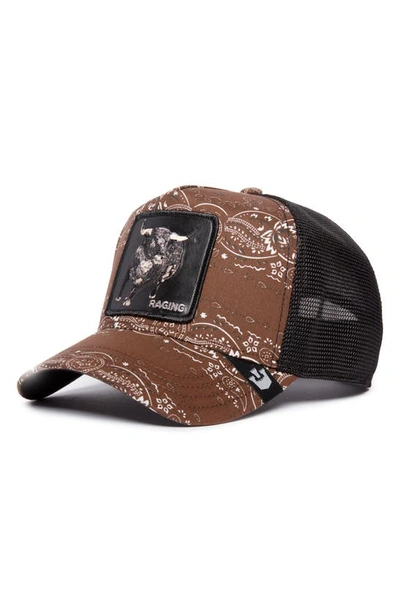 Shop Goorin Bros Bring The Ruckus Trucker Hat In Brown