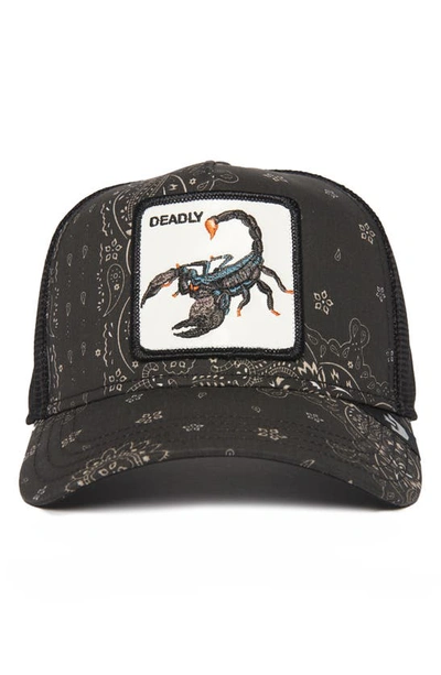 Shop Goorin Bros Scorpion Trucker Hat In Black