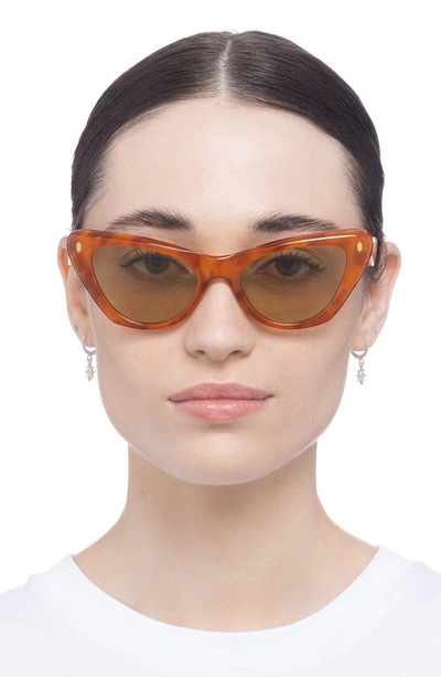 Shop Aire Linea 54mm Cat Eye Sunglasses In Vintage Tort