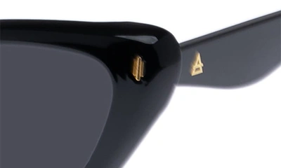Shop Aire Linea 54mm Cat Eye Sunglasses In Black