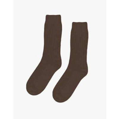 Shop Colorful Standard Merino Wool Blend Sock In Brown