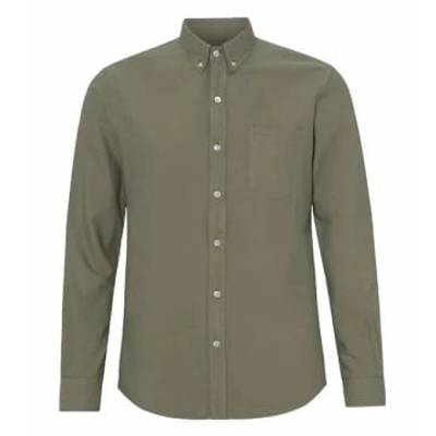 Shop Colorful Standard Organic Cotton Oxford Shirt Dusty Olive In Green