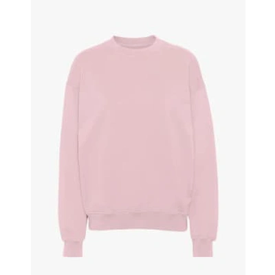 Shop Colorful Standard Organic Oversized Crew In Pink
