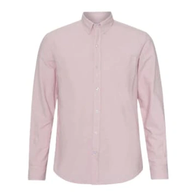 Shop Colorful Standard Organic Cotton Oxford Shirt Faded Pink