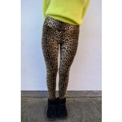 Shop Lolly's Laundry Dolly Leopard Leggings In Animal Print