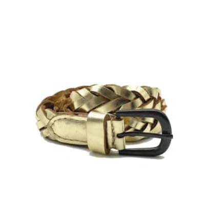 Shop Nooki Design Dallas Woven Belt In Gold